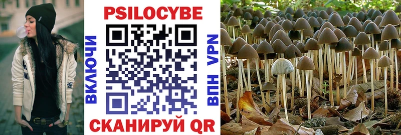 Купить Надым Псилоцибиновые грибы MAGIC MUSHROOMS
